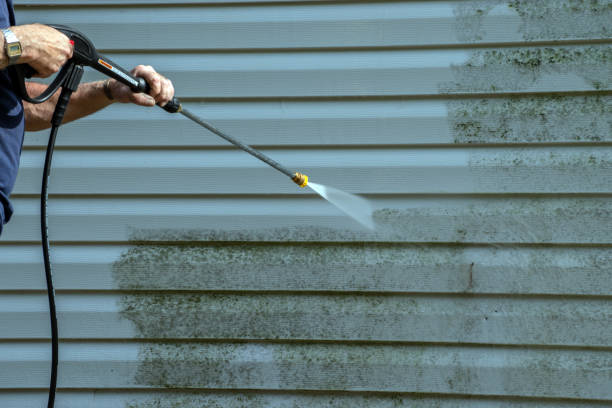 Best Sidewalk and Walkway Cleaning  in Pensacola, FL